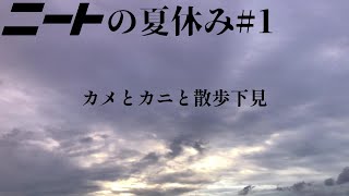 カメとカニと散歩下見