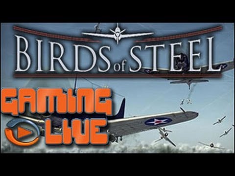 Birds of Steel Playstation 3