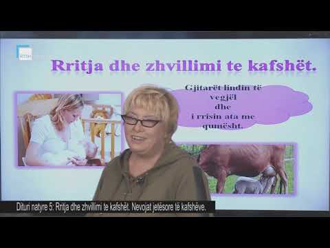 Dituri natyre 5 - Rritja dhe zhvillimi te kafshët. Nevojat jetësore të kafshëve.
