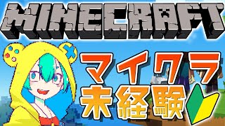 初めてのマインクラフトがハード過ぎた