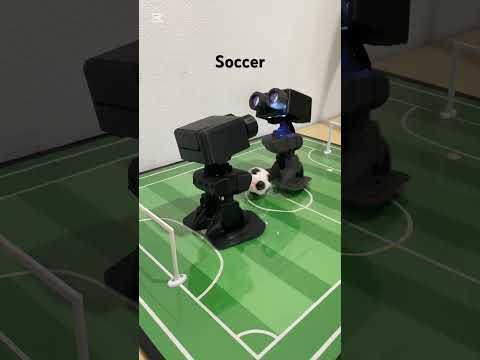 Play Video Youtube Video