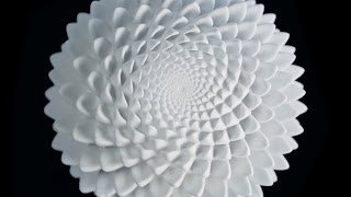 Art is Science, Science is Art