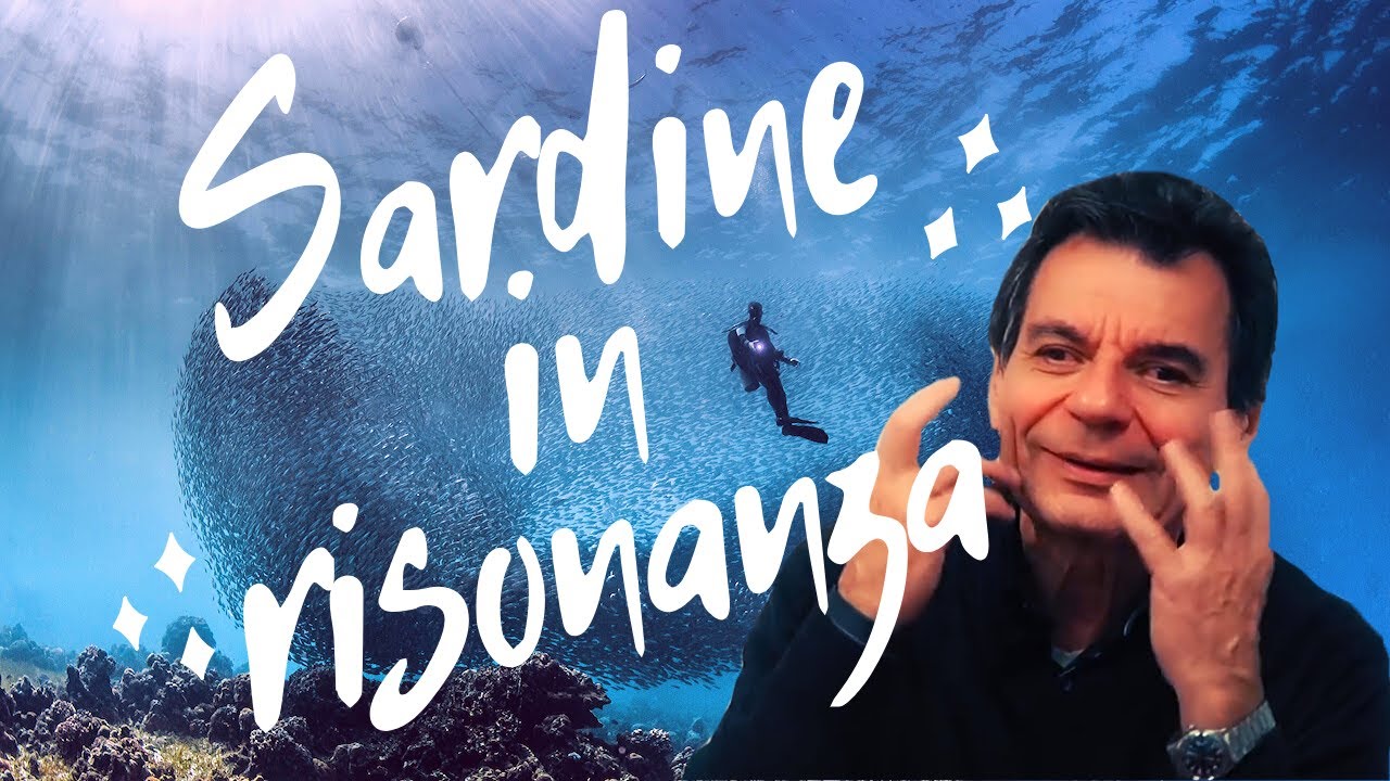Watch Now Profetico Malanga: Sardine in risonanza Profetico Malanga: Sardine in risonanza