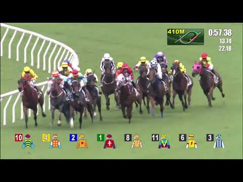 30/5/2021 (712) Green Envy - J Moreira