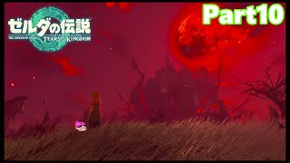 【10】ぼっち勇者の天空探検【ゼルダの伝説ティアーズオブザキングダム】