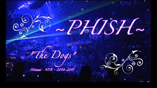 PHISH-2015/01/01: &quot;The Dogs&quot; - Miami, FLA