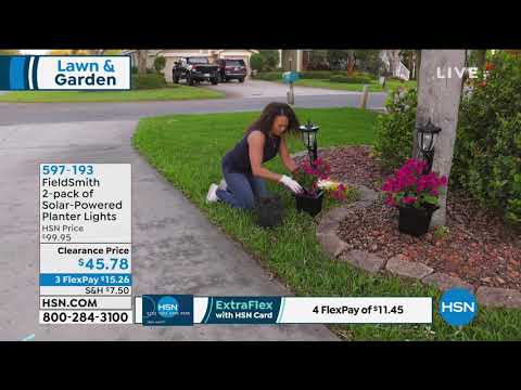 FieldSmith 2er-Pack solarbetriebene Pflanzgefäßleuchten