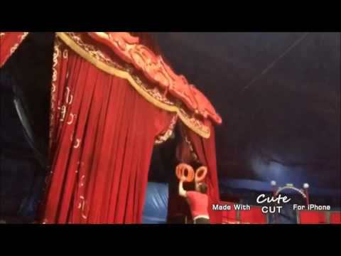 Incredible!!! Willy Colombaioni Best Numbers Juggling Tricks