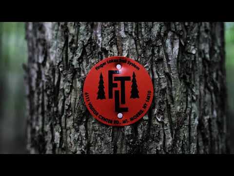 download lagu mp3 mp4 Twisted Branch 100k, download lagu Twisted Branch 100k gratis, unduh video klip Twisted Branch 100k