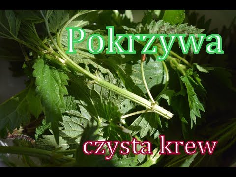 Recepty na zwiększenie potencji Pestki dyni na zwiększenie potencji