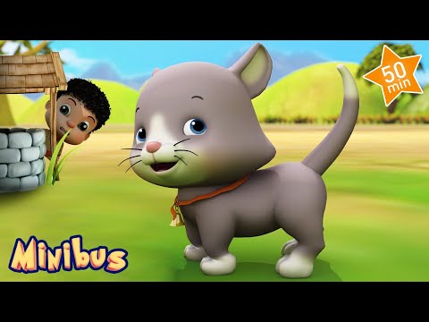 Ding Dong Bell : The Baby Cat Song + More Nursery Rhymes & Kids Songs | Minibus Video
