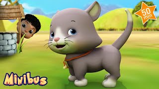 Ding Dong Bell : The Baby Cat Song + More Nursery Rhymes & Kids Songs | Minibus