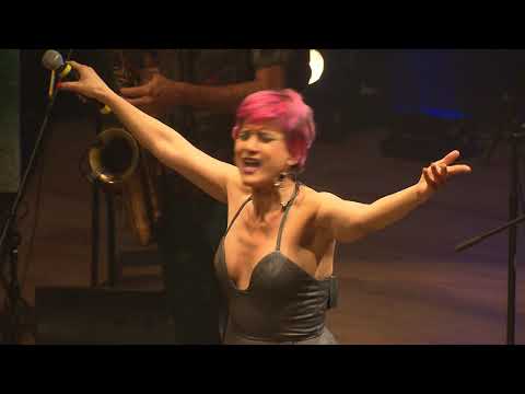 Bossacucanova celebra ritmos brasileiros com sotaque carioca