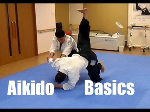 Aikido Basic Techniques by Abe Toshiharu