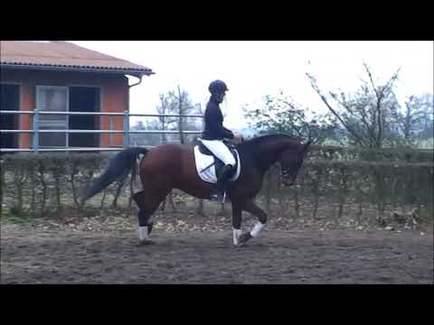 Finest x Fifty Cent, Wallach, 4 Jahre