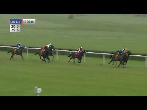 31.10.2020 (D45; G5; Tor: 3,6; 6°C) Nagroda Criterium - L (kat.A)