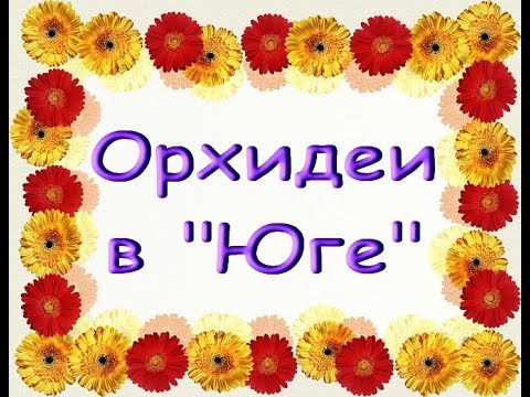 ЗАВОЗ прекрасных ОРХИДЕЙ в "Юге",22.12.19,Самара,ул.Авиационная,8.
