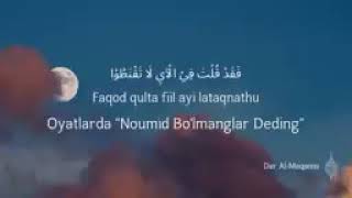 nashed Красивый нашид молня 🌾🌾🌾 Beautiful nasheed (ALLAH ALLAH)  #нашиды #нашид #нашида