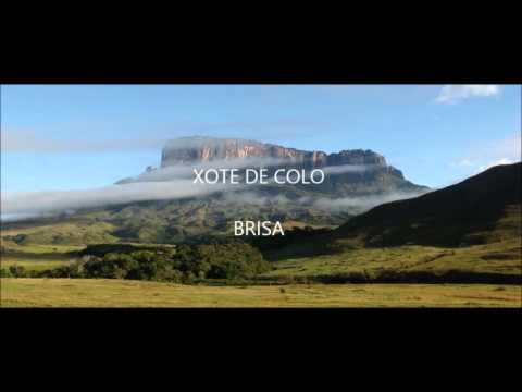 Brisa video