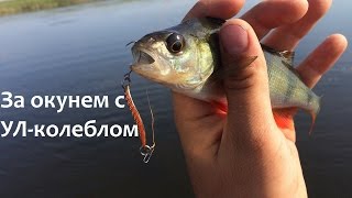Как ловить на китайскую колебалку окуня