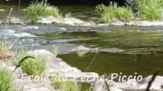 preview picture of video 'Stages de Pêche en Aveyron - le Lot en été'