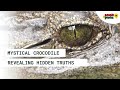 The Crocodile That Has Served Fadama For Over 40 Years