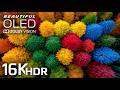 MOST BEAUTIFUL NATURE 16K HDR VIDEO 120FPS -  ..