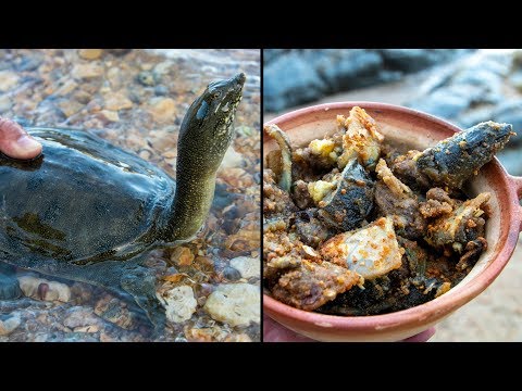 Salt-roasted Soft-shell Turtle | Camping & Cooking