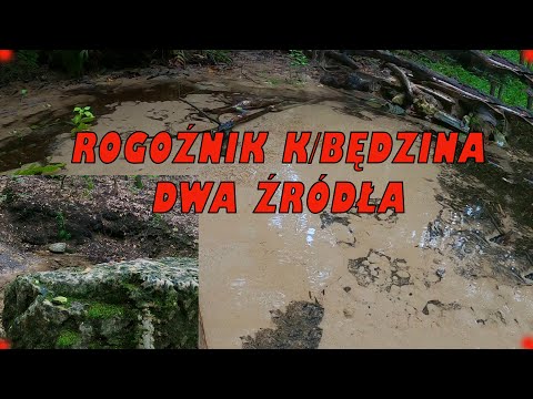 Rogoźnik k./Będzina Dwa Źródła