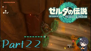 正規の攻略ってどうするんやっけ。。。-ゼルダの伝説 Tears of the Kingdom -part22-