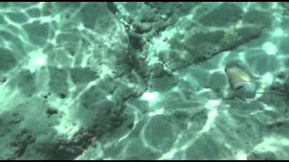 Recado para Pio Lobato Lucas Santtana