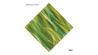 Wild Beasts - Stray (Official Audio)