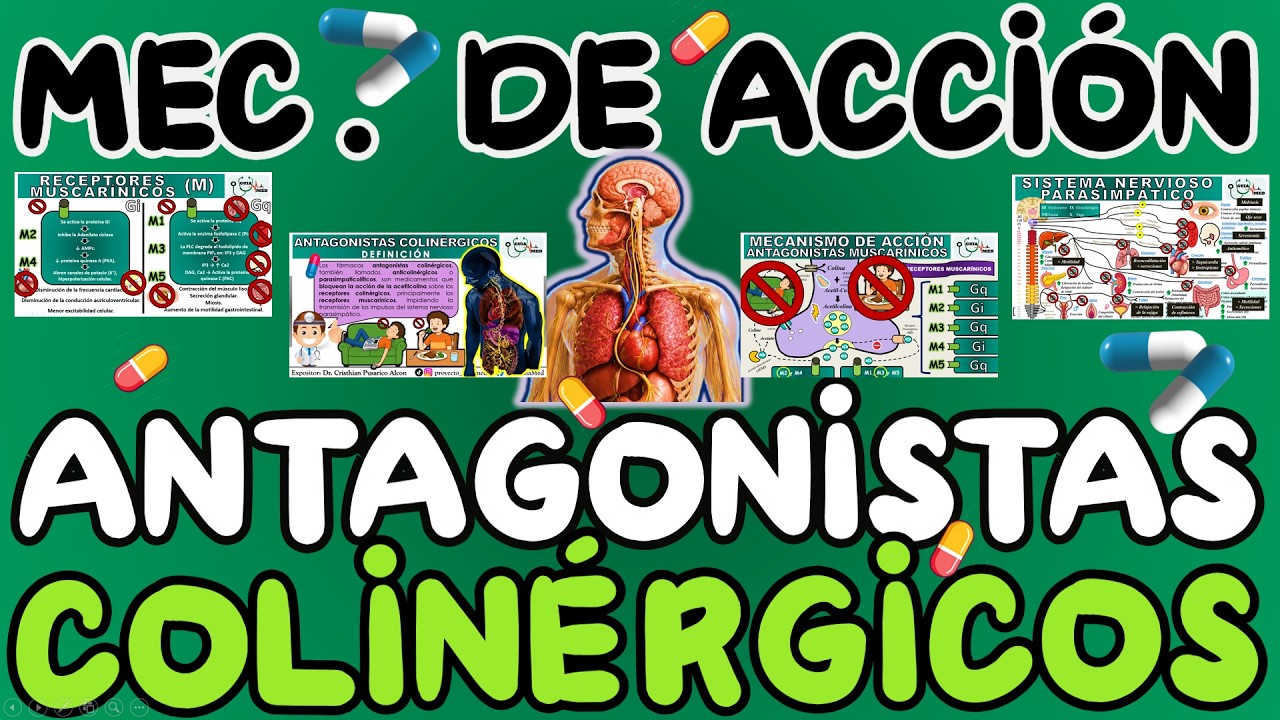 ANTAGONISTAS COLINÉRGICOS MUSCARÍNICOS MECANISMO DE ACCIÓN | GuiaMed