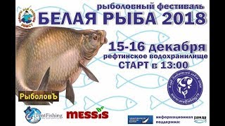 Рефтинское водохранилище отчет о рыбалке