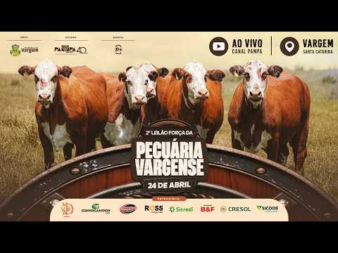 2° Leilão Força da Pecuária Vargense, VARGEM/SC - 24/04/2026 19h