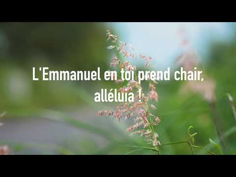 Alléluia, jubilate  |  Emmanuel Music