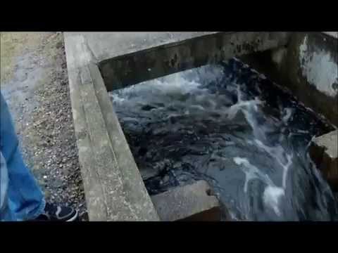 Herring Run Middleboro 3/30/14