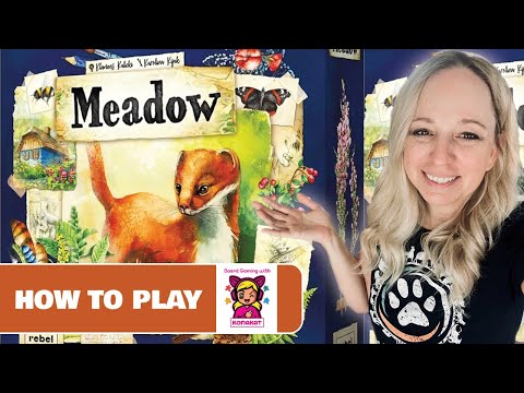 How to Set up and Play Meadow