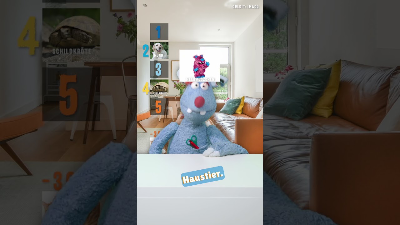 Welches Haustier kommt auf die 1? 🐶🐱🐢 #shorts