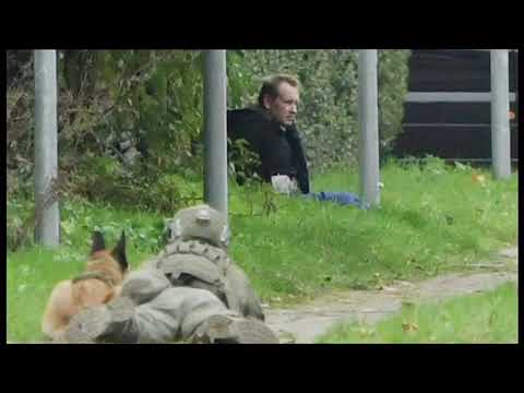 Peter madsen attempt prison escape.