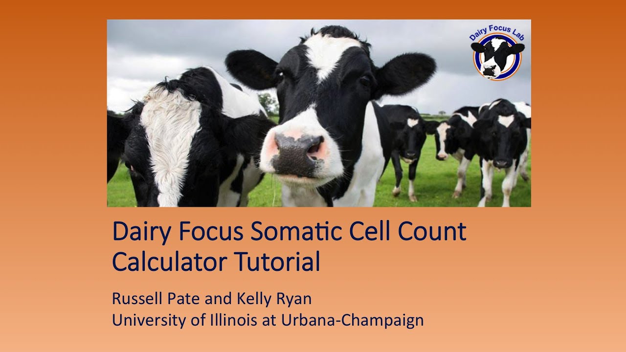Tutorial for the Dairy Focus Somatic Cell Count Calculator