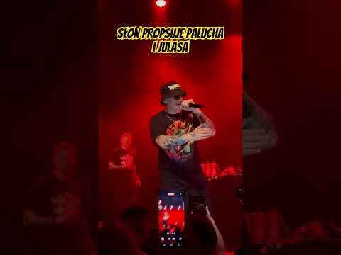 #420 #slon #paluch #holandia  #koncert #velno  @PaluchOfficial  #julas @BrainDeadSlon