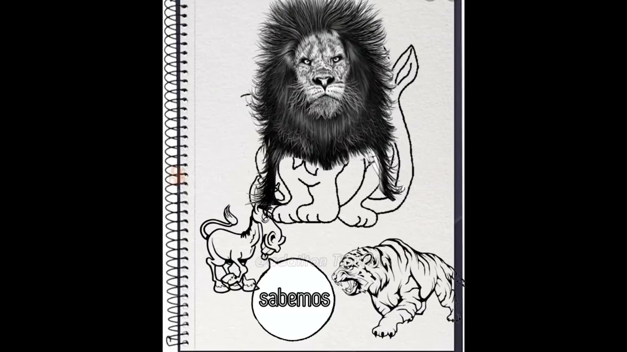 Watch Now vídeo 1 o burro e o tigre vídeo 1 o burro e o tigre