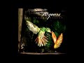 10 Years - Insects
