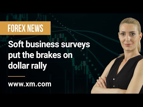 Forex News: 24/08/2022 - Soft business surveys put the brakes on dollar rally