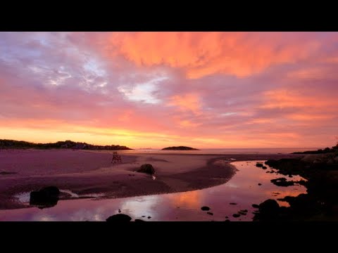 Beauty by the Sea Episode #8