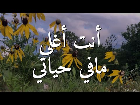أنت أغلى مافي حياتي || ترنيمة بالكلمات  You Are The Best Thing in My Life (Lyric Video)