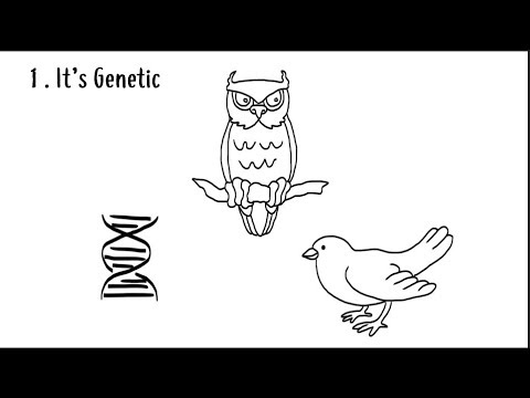 Psychological Advantages of Morning Routines