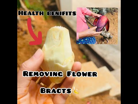Health benifits of Banana Flower🌸|| By Nazima Shakir ❤
