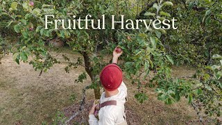 A Fruitful Harvest - picking and preserving seasonal fruit in the Pacific Northwest